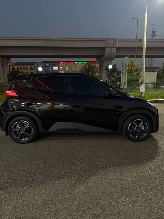 Byd seagull 405 km 2024 yil