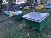 Famili de albine de vânzare