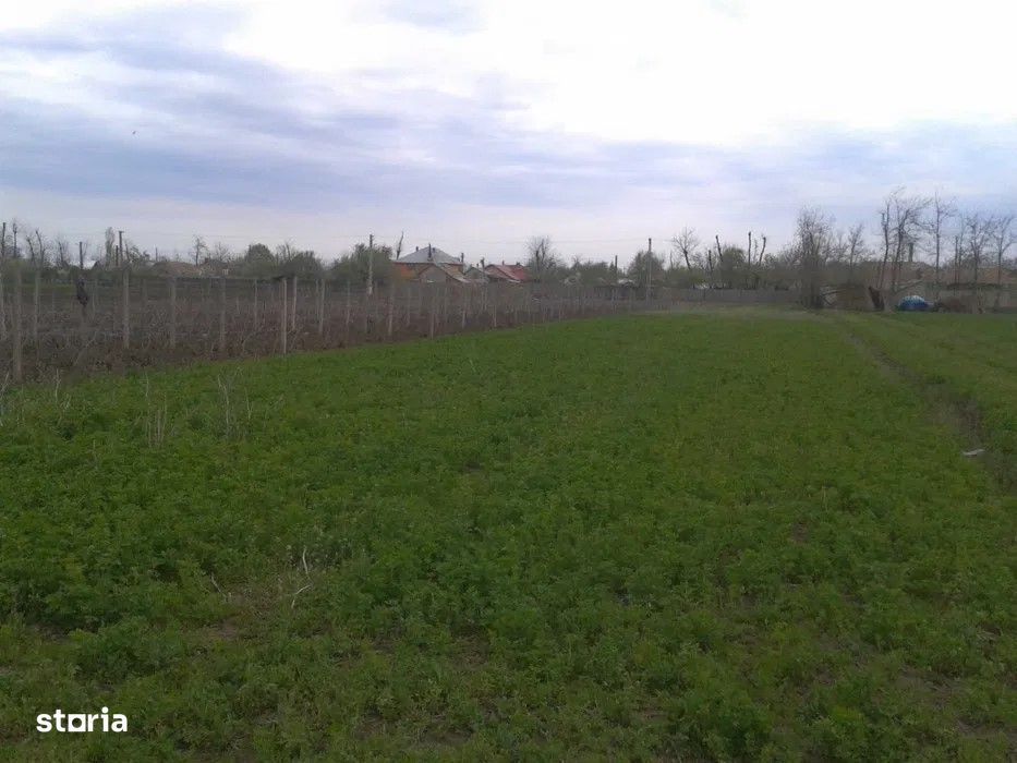 Vand teren intravilan si extravilan Prahova Salciile