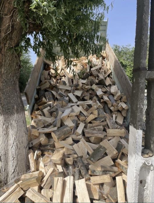 Vand lemn de foc FAG-SPART