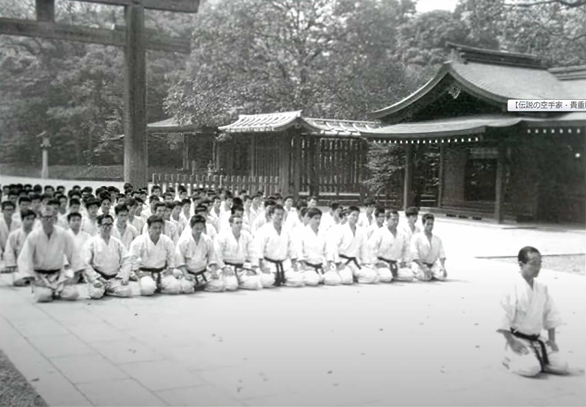Karate Shotokan - ACS Taigasan Rădăuți