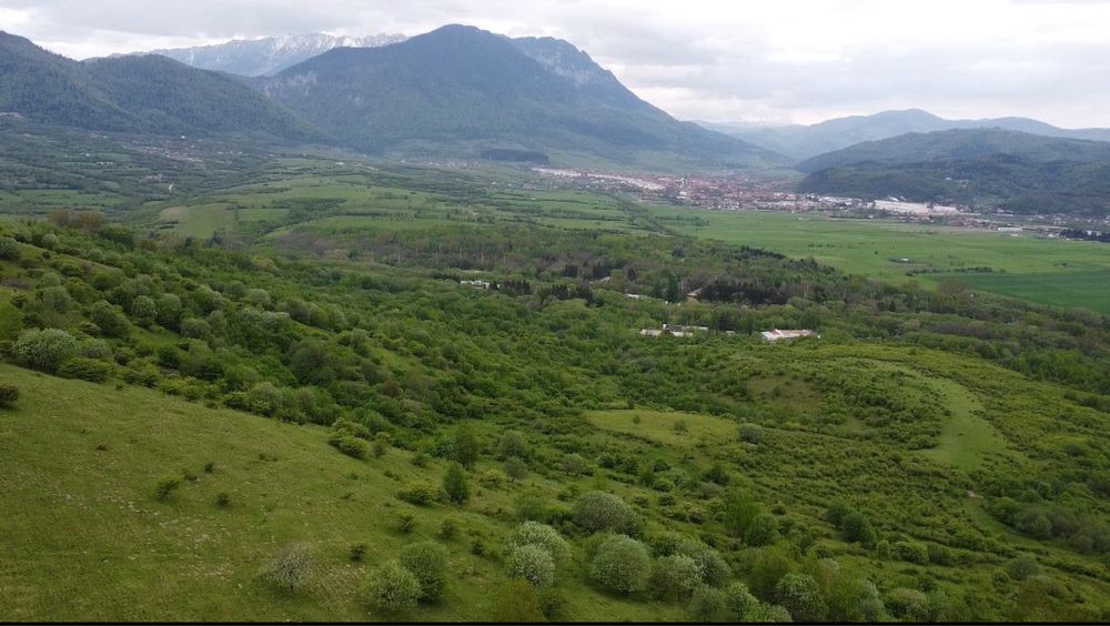 Teren de vânzare ideal pentru camping sau cabane in linistea naturii