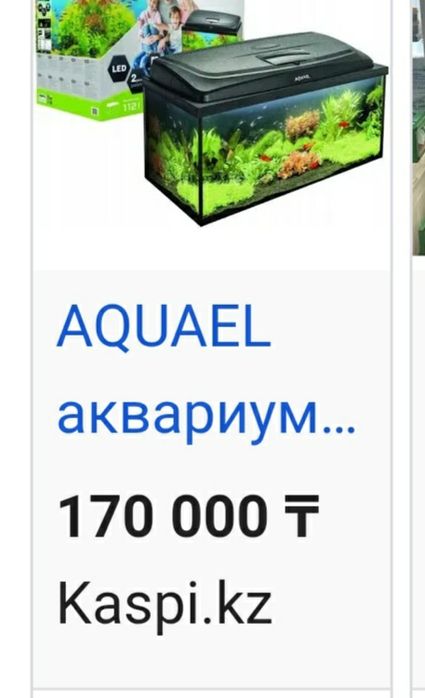Продам аквариум с оркстекла
