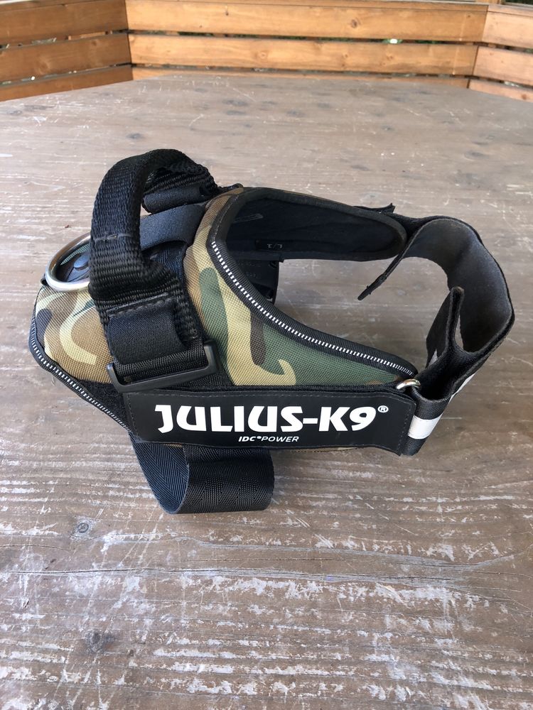 Ham caine Julius K 9