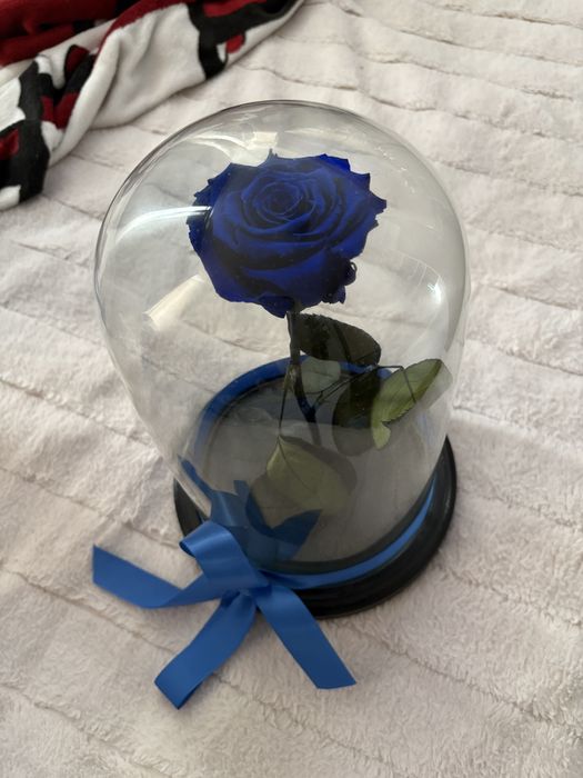 Trandafir criogenat albastru