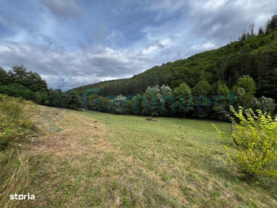 Gaminvest teren de vanzare in Calatea, Bihor V4277