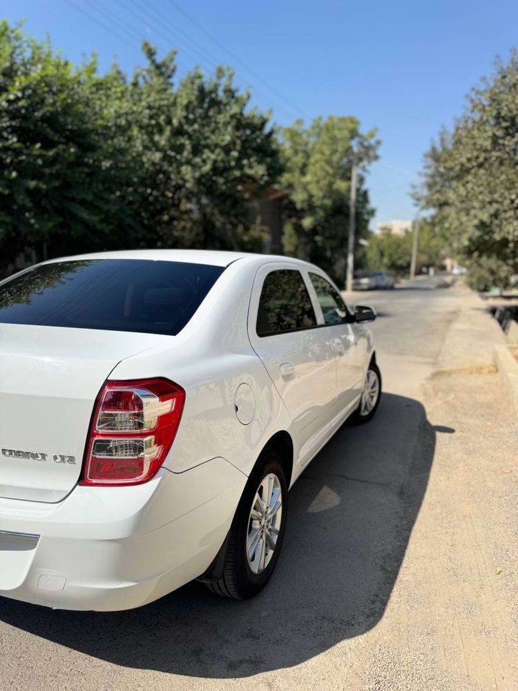Cobalt 2024, (white)