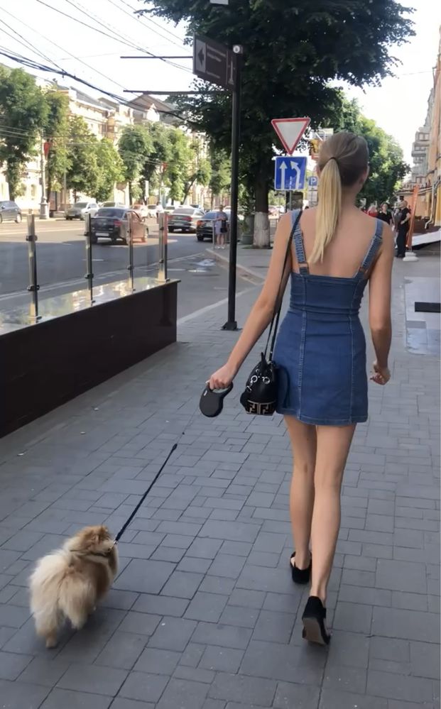 Передержка животных