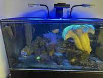 Acvariu 120x60cm + sump