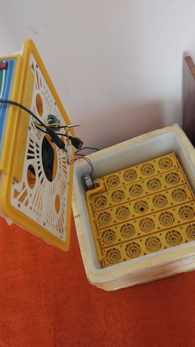 24talik zavatiskoy Inkubator sotiladi