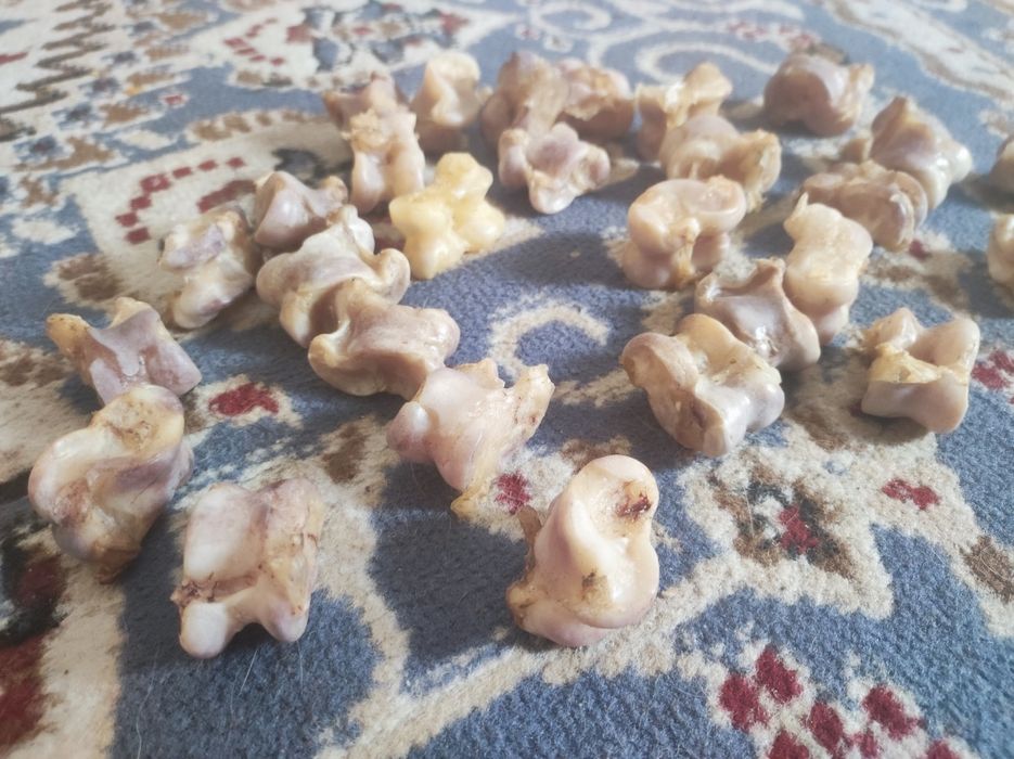 Продам асыки.маслы