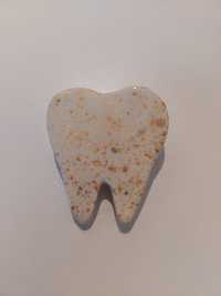 Martisor Brosa dinte strălucitor, cadou (stomatolog, asistenta)