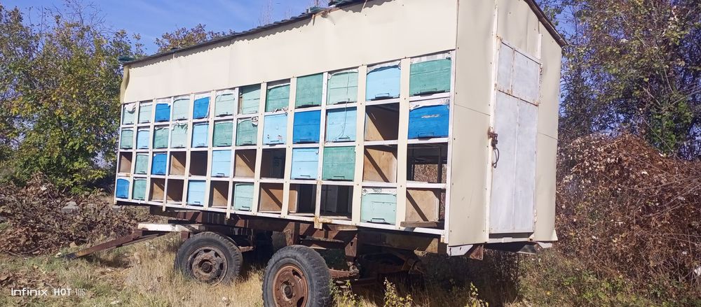 Pirsep asal ari pavilyon zil pirsepdan qilingan pavilion Асалари прцеп