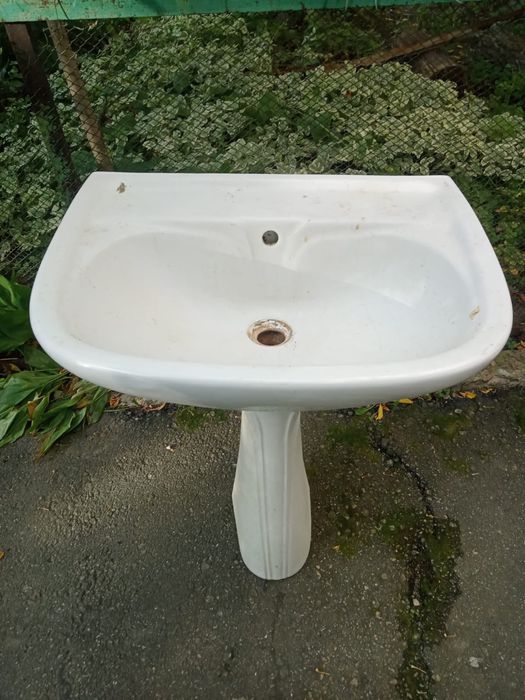 Продам тюльпан в хорошем состоянии