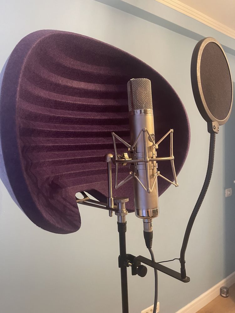Microfon studio profesional Warm Audio CX-12