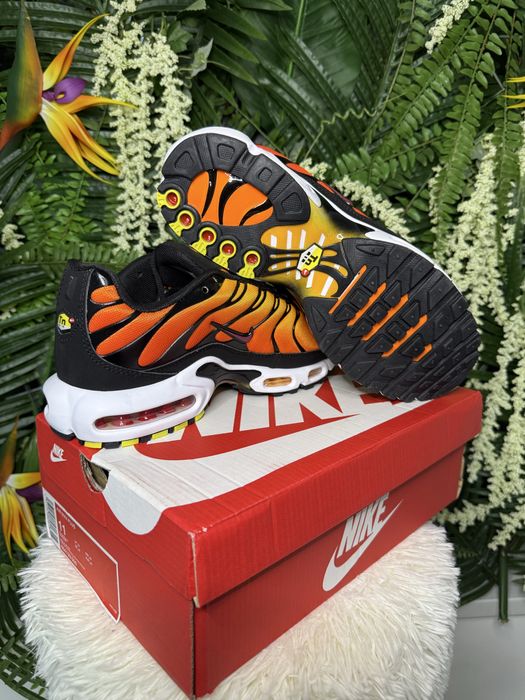 Nike Air Max Plus TN Sunset
