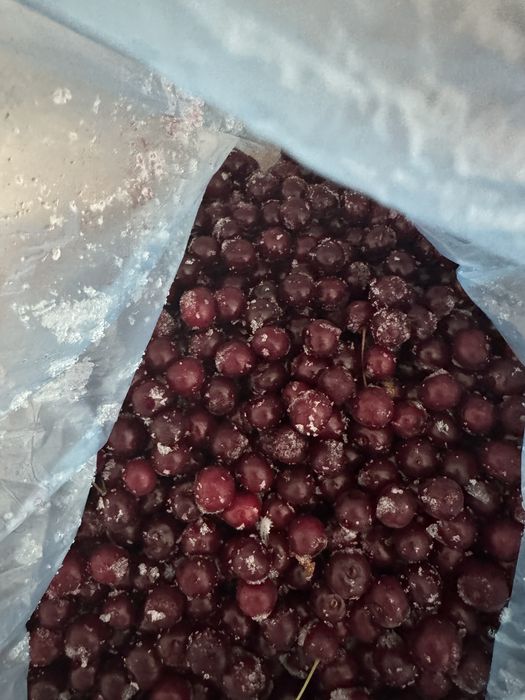 Вишня замороженная