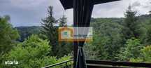 Ideal Evenimente Private, restaurant, pensiune, 1,8ha teren, padure
