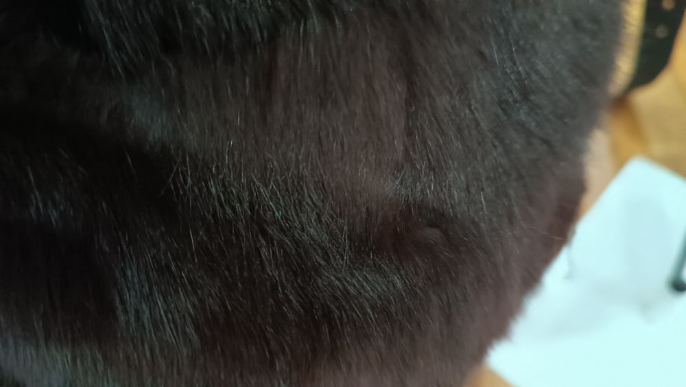 Тепловое плащ польто с воротником чернобурки.