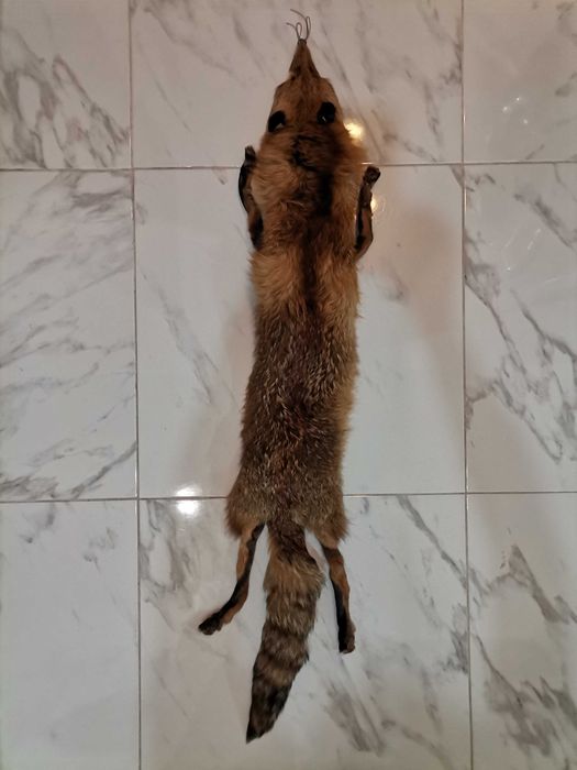 Лисица естествена кожа, яка