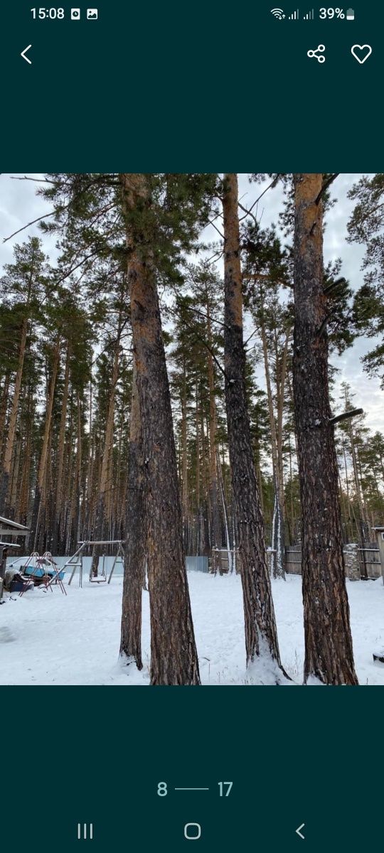 Сдам домики в лесу в Зеренде