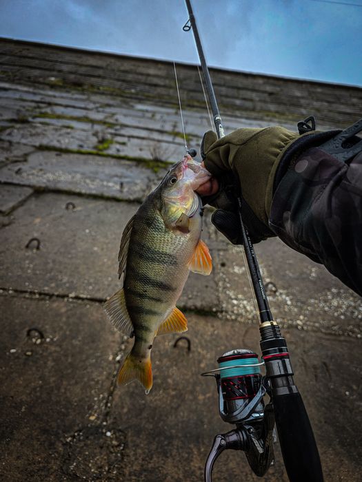 TAILWALK Salty Shape Dash Micro Gamer S64UL