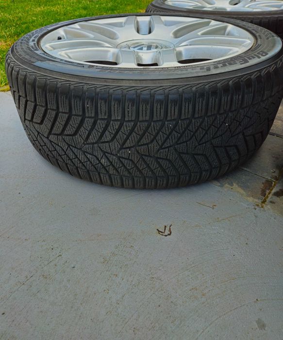 Roti Iarna Volkswagen r 19
