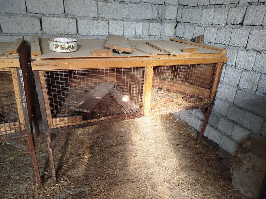 Клетки для кроликов маточники