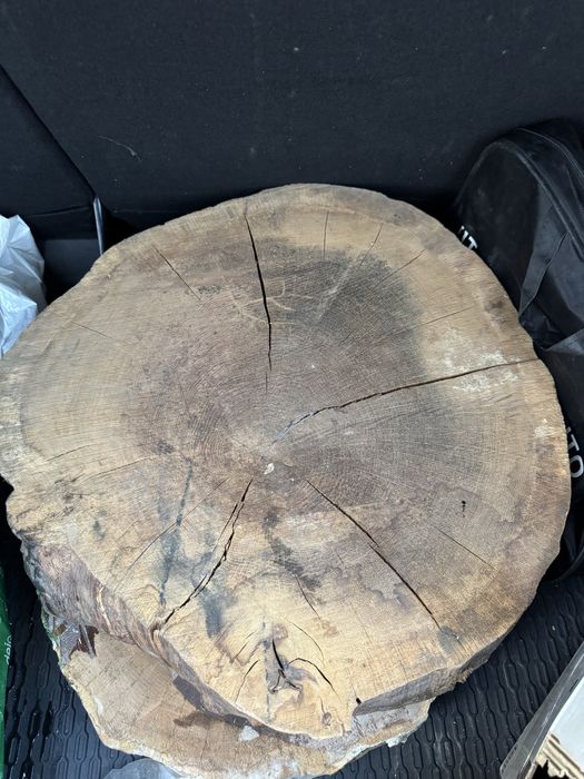 Felie nuc ptr masa de cafea- 55cm