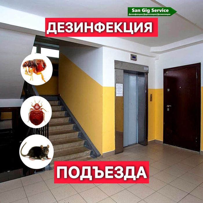 Дезинфекция подъезда квартира дом подвал