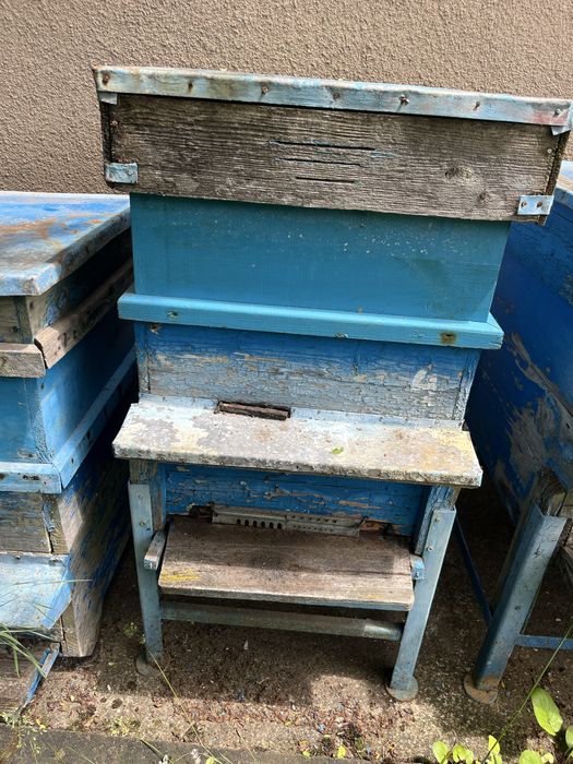 Кошери 10рамкови-дадан блат