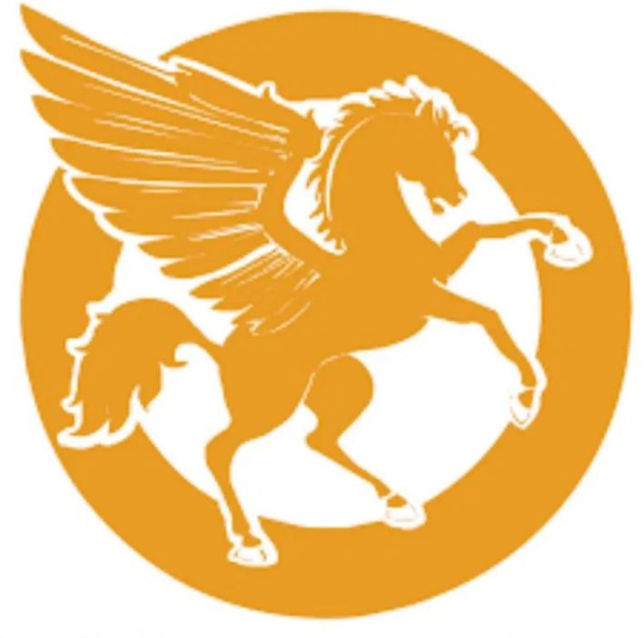 Bicicleta Pegas Popular