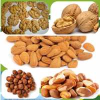Предлагаме качествена и вкусна орехова ядка и Орехи от екологичночист