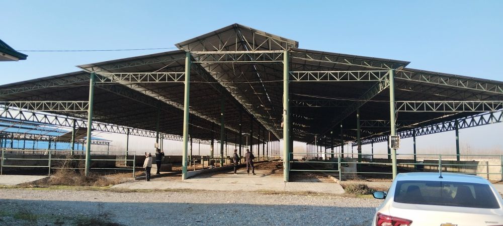 Кантинер профилдан замонавий молхона товукхона курамиз