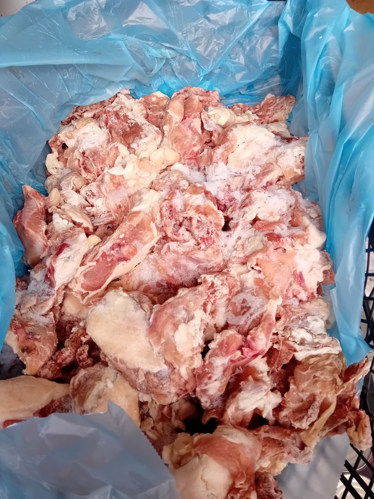 Пилешки гръбчета
