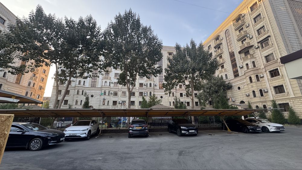 Shota rustaveli 82