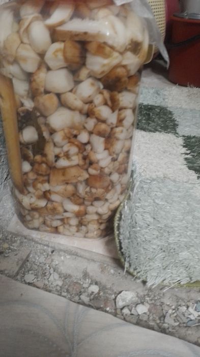 Продам грибы маринованные