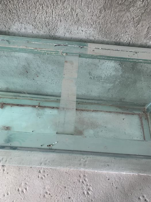 Acvariu pești capacitatea 500L