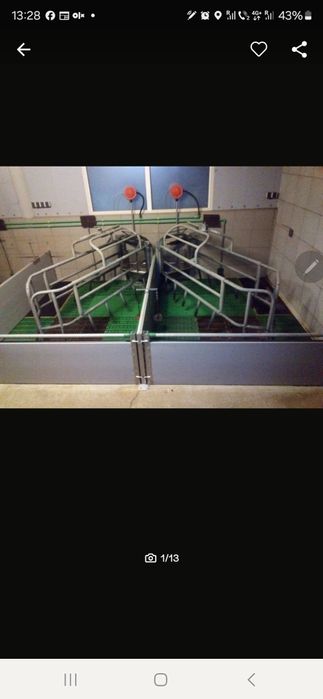 Boxe de fatare suine echipamente ferme zootehnice