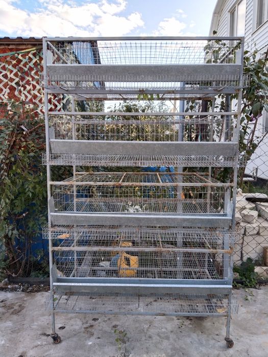 Клетка для перепелов на 160 голов