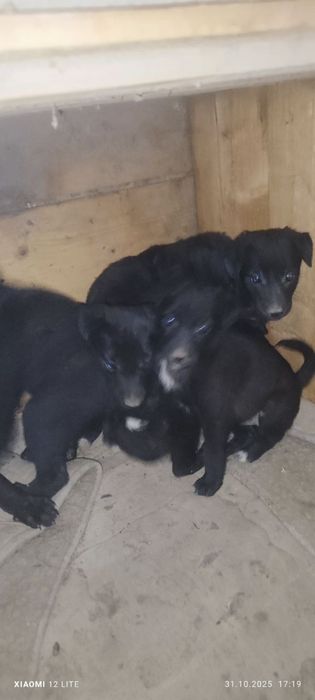 Дети ищут семьи!