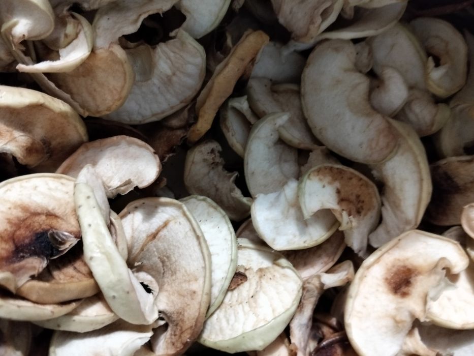 Яблоки сушенные домашние