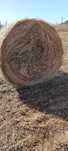 Baloti de sparceta 160x120