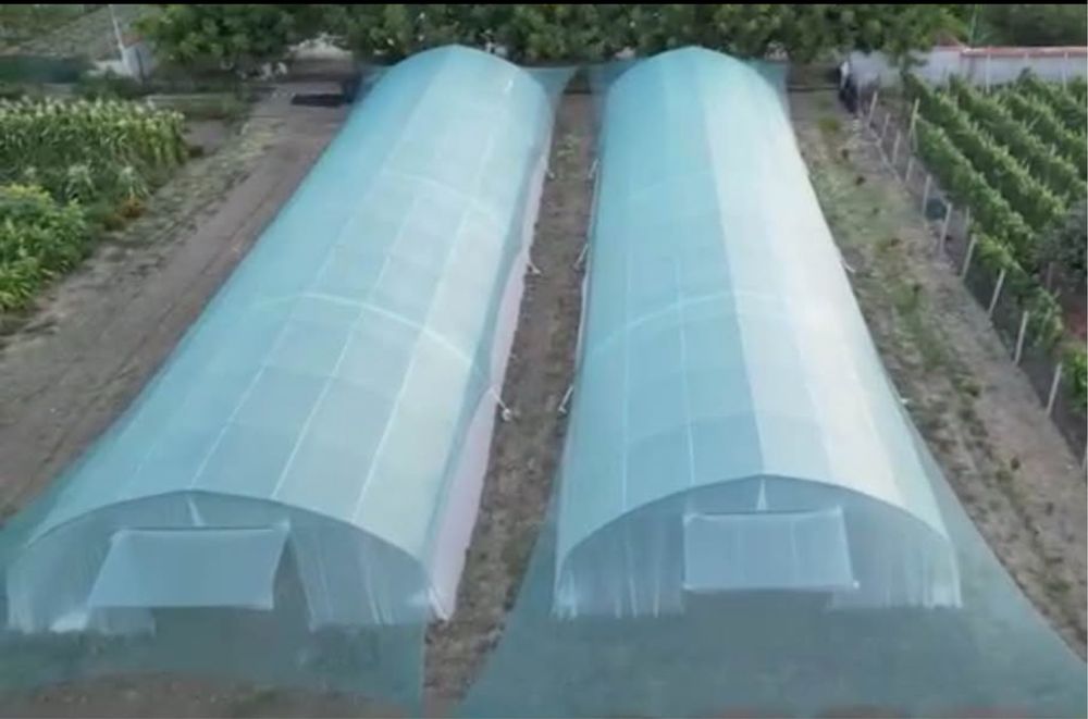 Два  броя оранжерии 9х30м