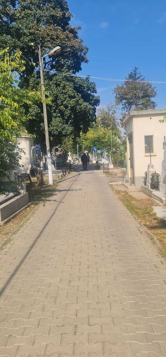 Concesionez loc de veci la Bellu pe aleea Artistilor