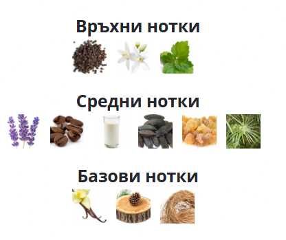 Парфюм НОВ Maison Margiela Replica Coffee Break УНИСЕКС 100ml EDT