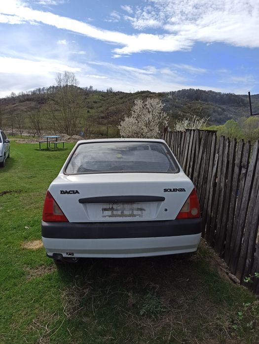 Solenza pentru Rabla