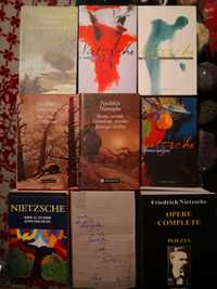 Nietzsche 12 volume, doar împreună