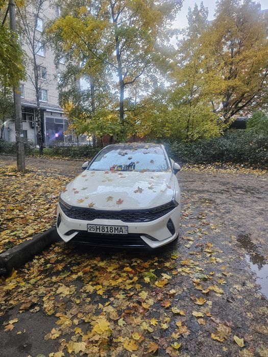 Личный водитель со своим автомобилем