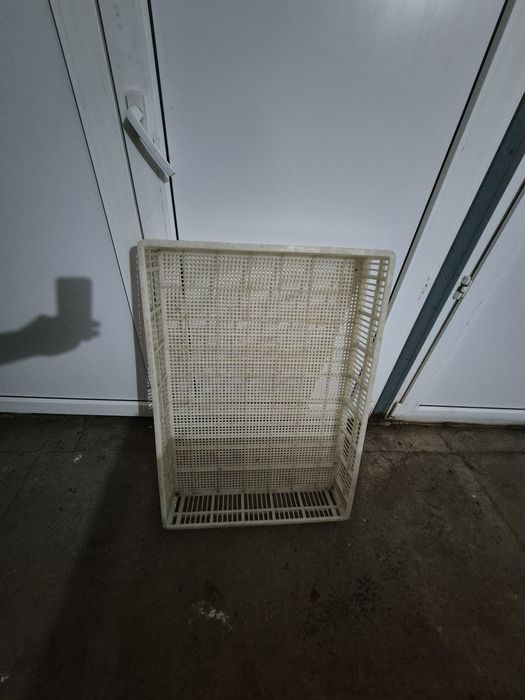 Продам лотки инкубационные